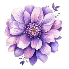 purple and pink flower